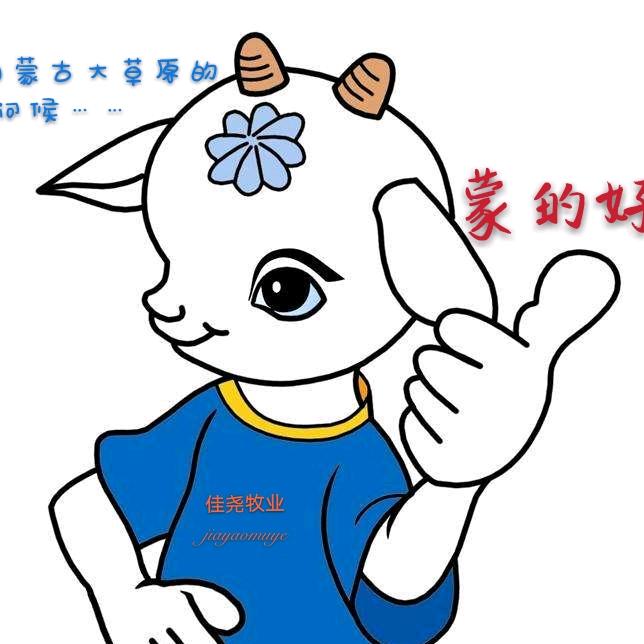 草原【佳尧】小蒙哥—专注牛羊肉30年