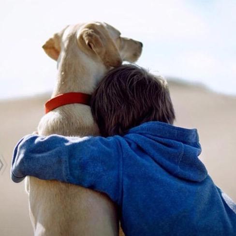 一只跑得很快的熊