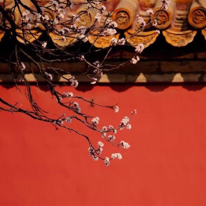 江鱼