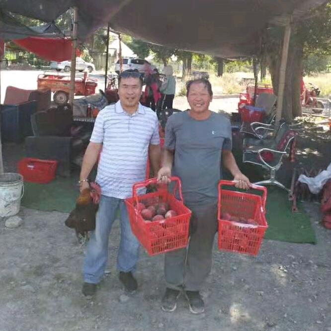 李国安有机蟠桃园