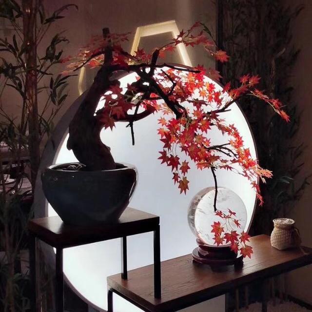 走心的黑马--健康基地