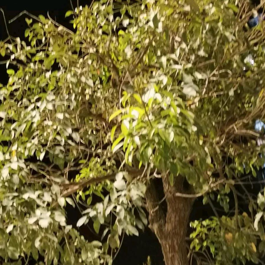 好好珍惜。