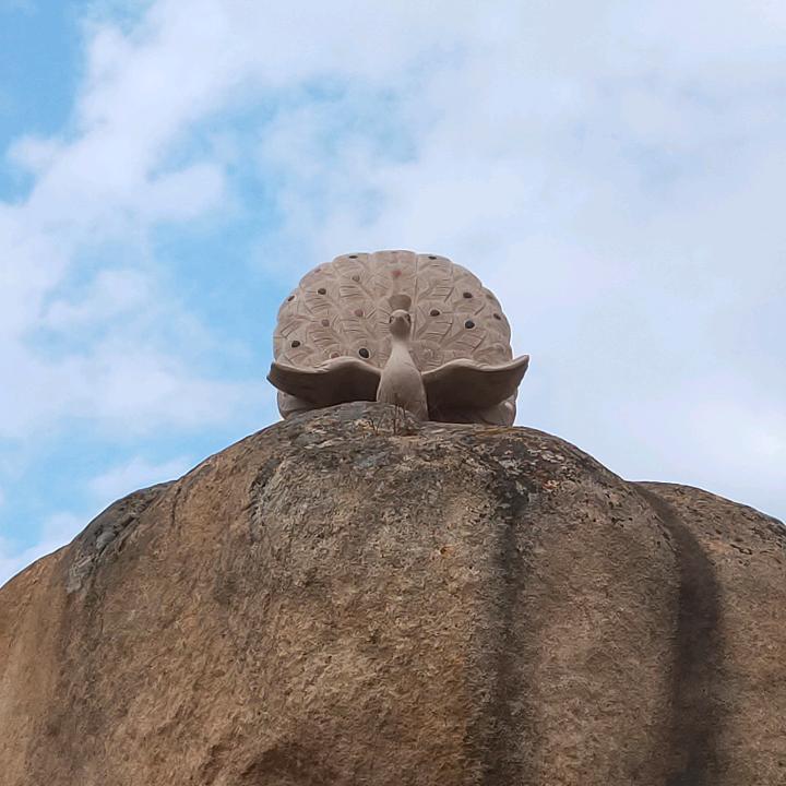 (｡>∀<｡)回眸