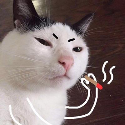 科研农民工