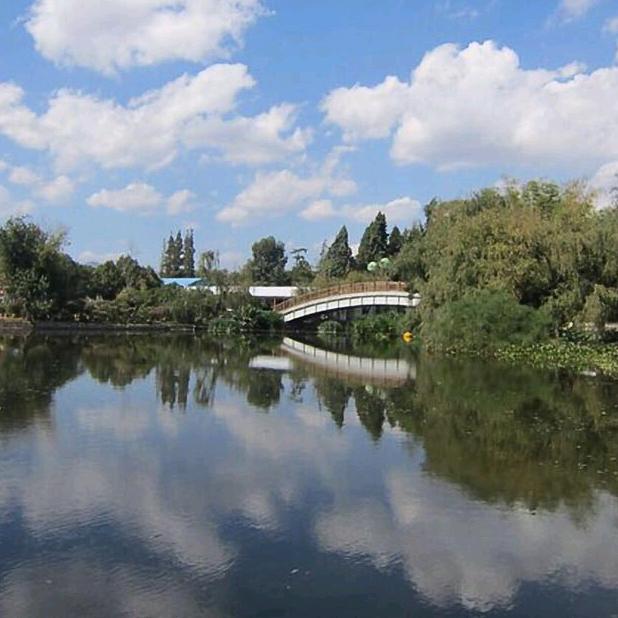 崂山丽达卡尔美