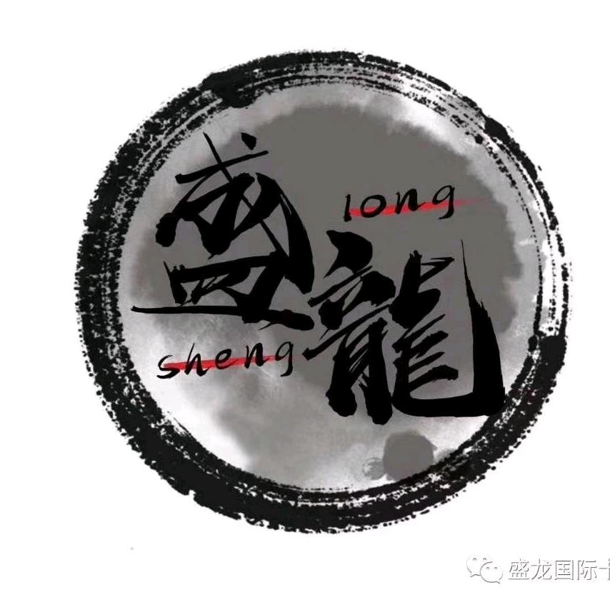 盛龙国际卡丁车《肖康》