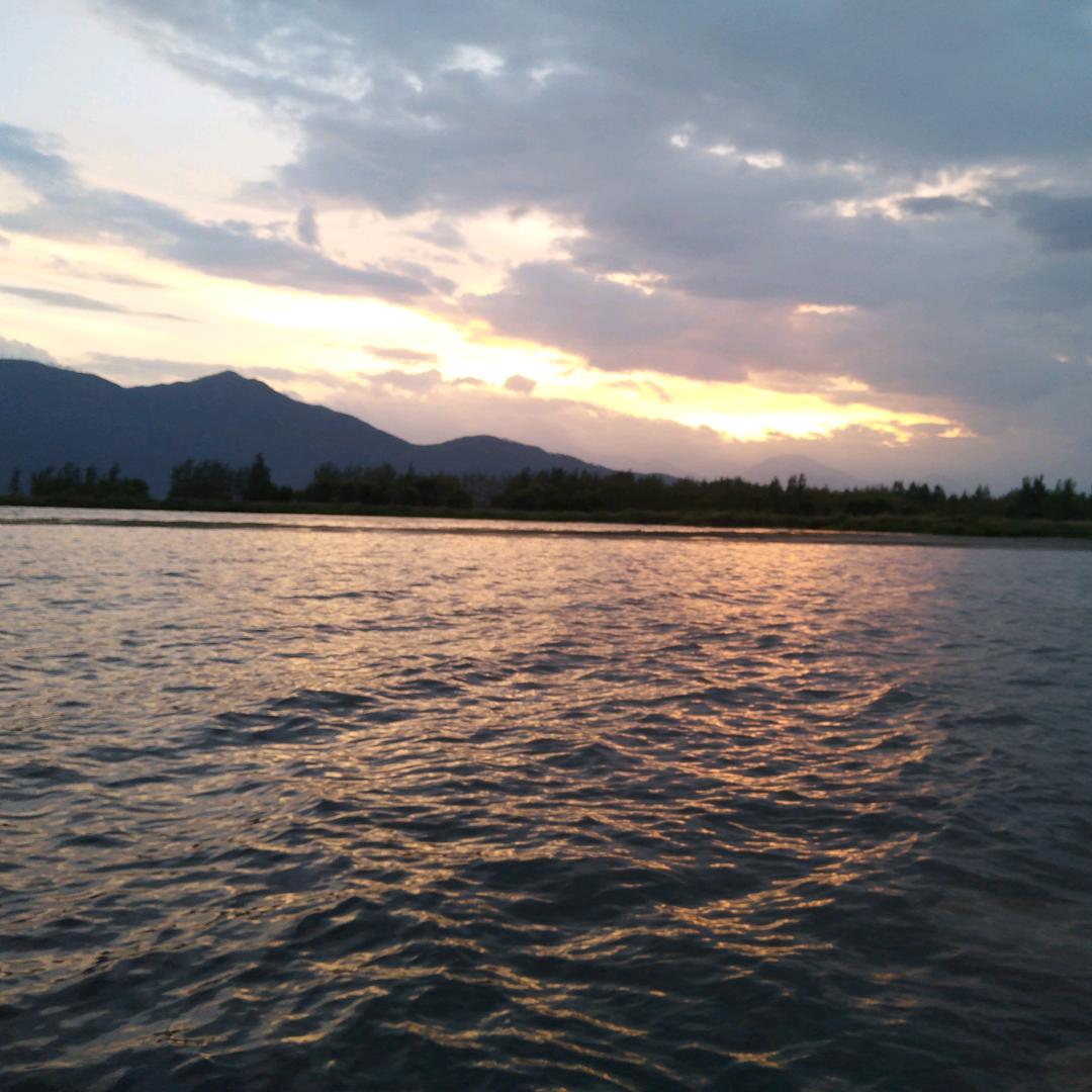 殘花シ傾聽我的憂傷