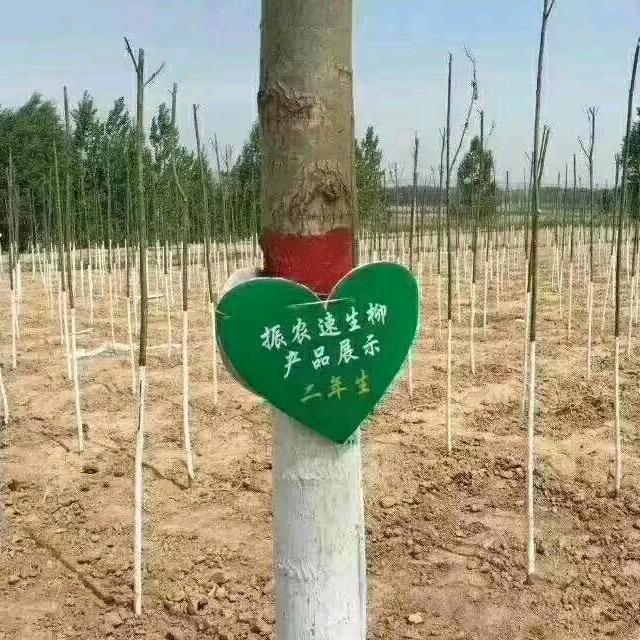 现实生活靠自己，赞不过三