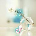 芯茹芷氺ペ