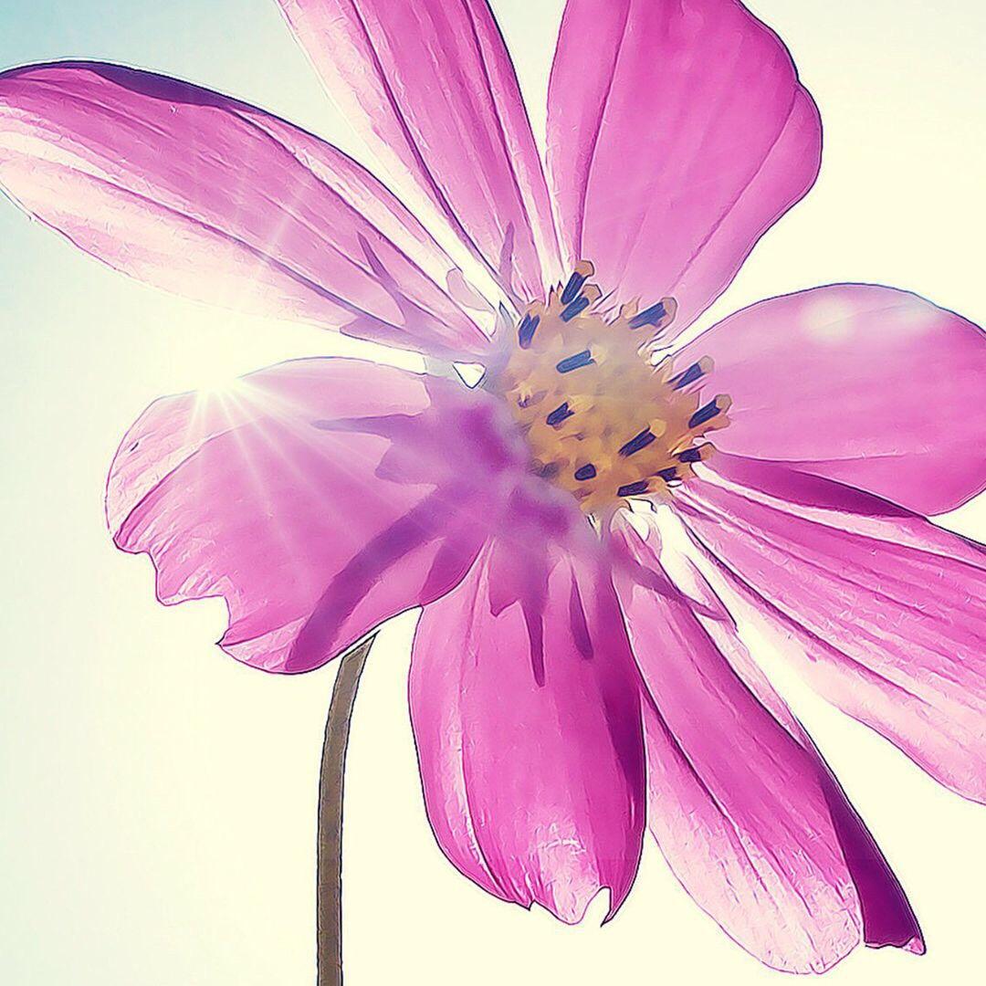 渭南嘉华布艺刘姐窗帘沙发罩