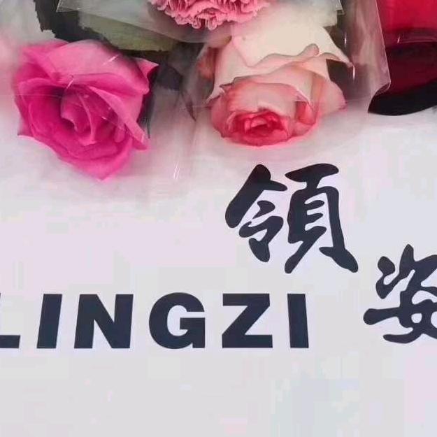 五寨领姿