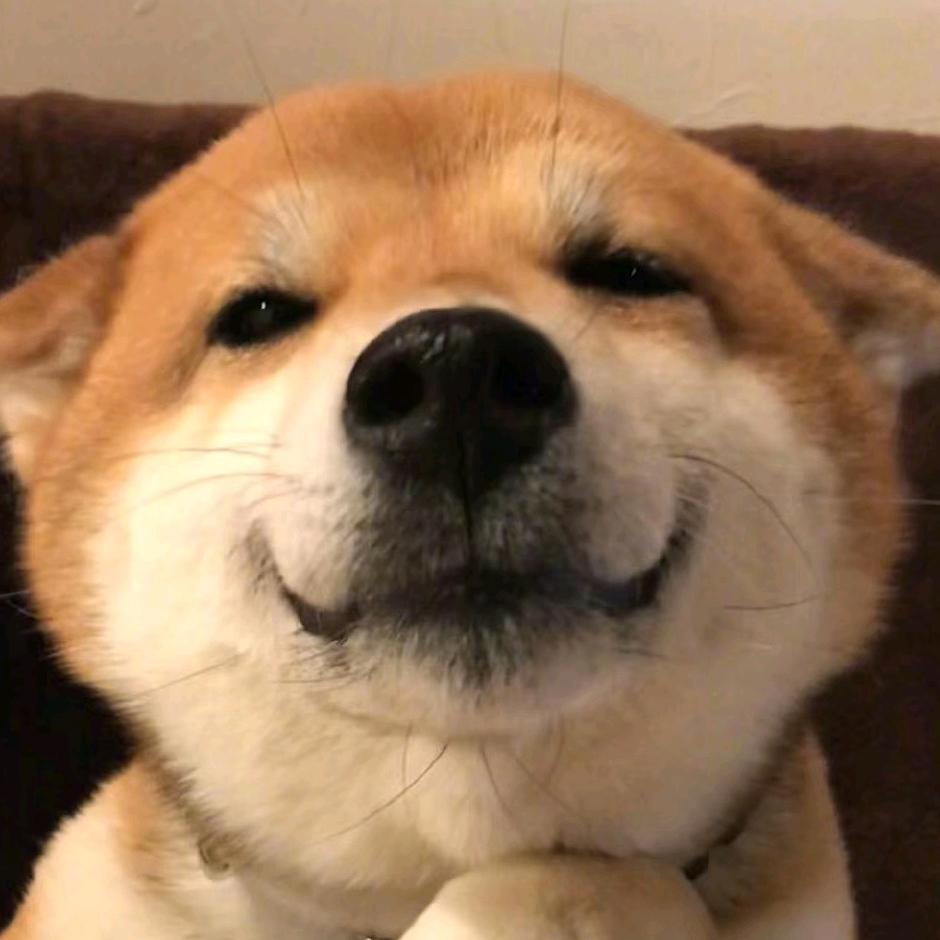 安之若命　　　　　　　　　　　　༽