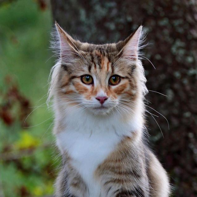 兆龙日用精品小铺