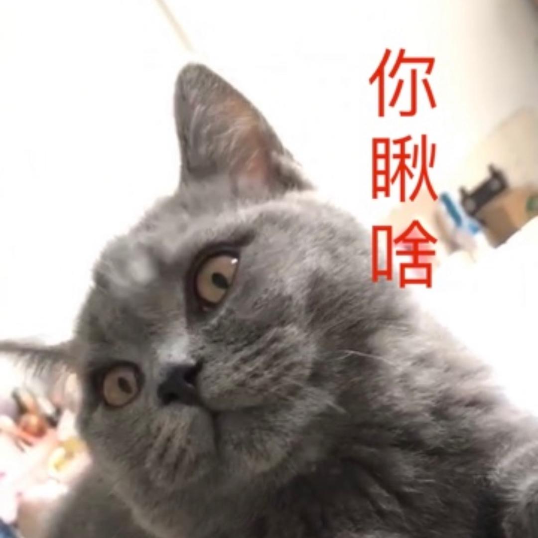 认路的老马