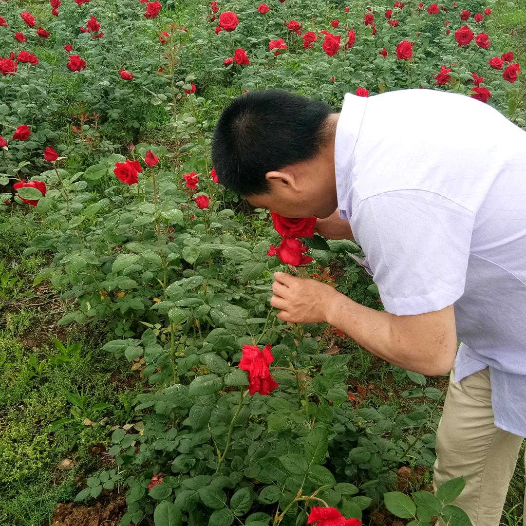 贵州五角烧烤