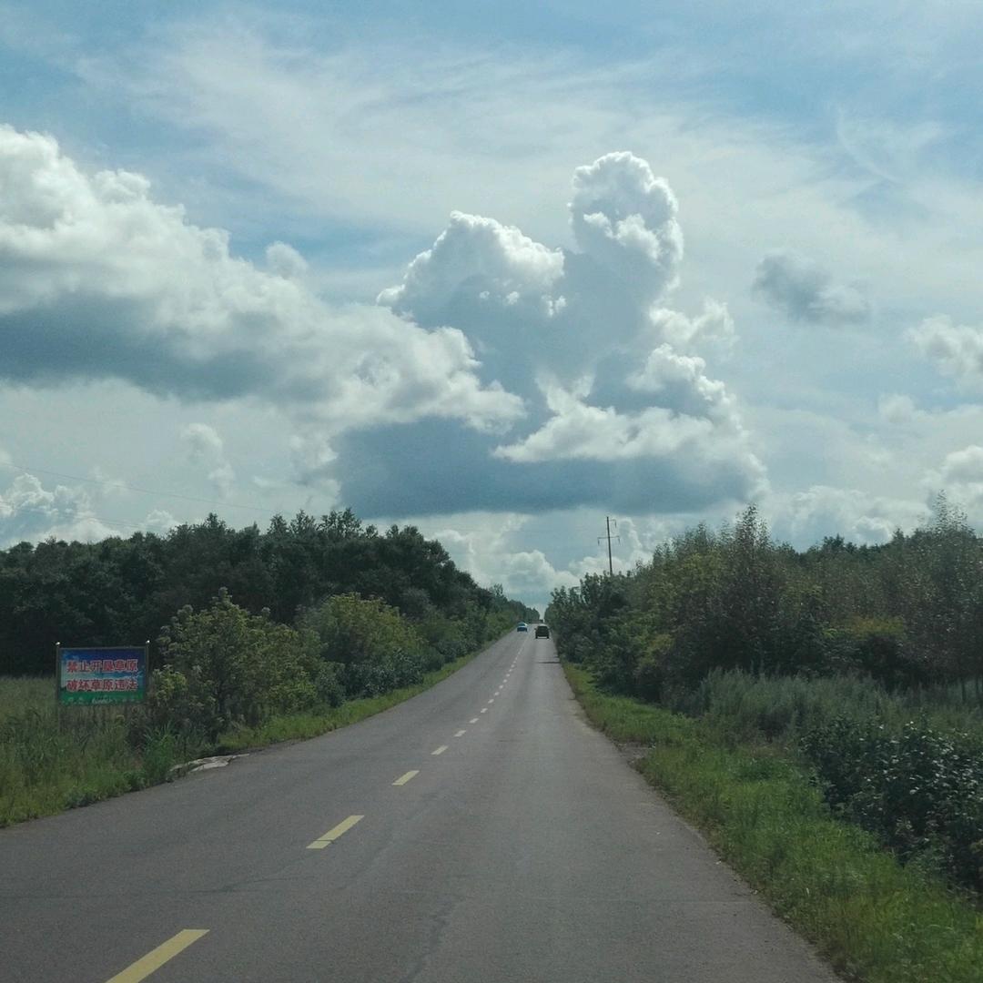 ☀☀疯丫头☀☀