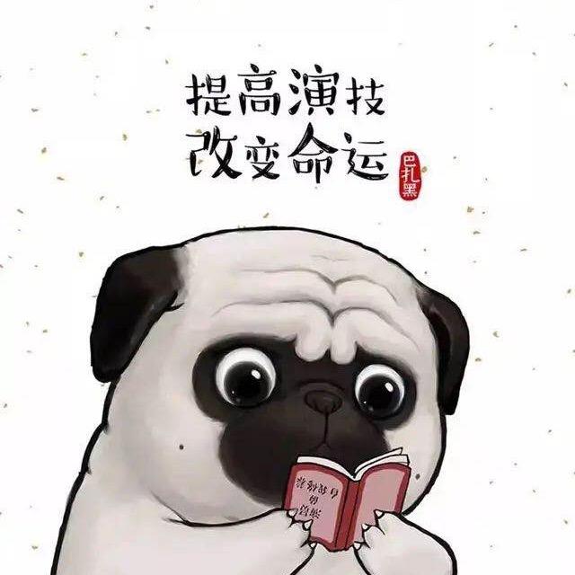 段D
