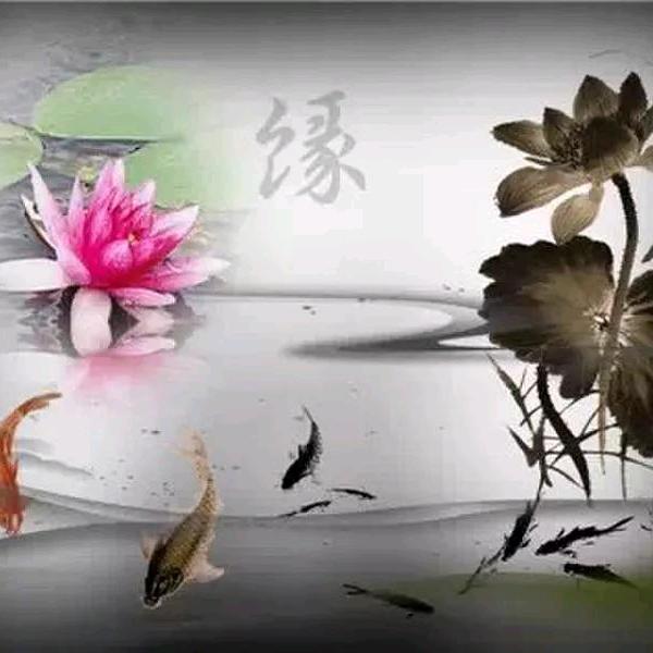 优美回忆