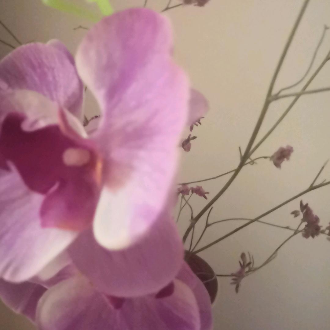 ☀️笑笑☀️【拒私聊】