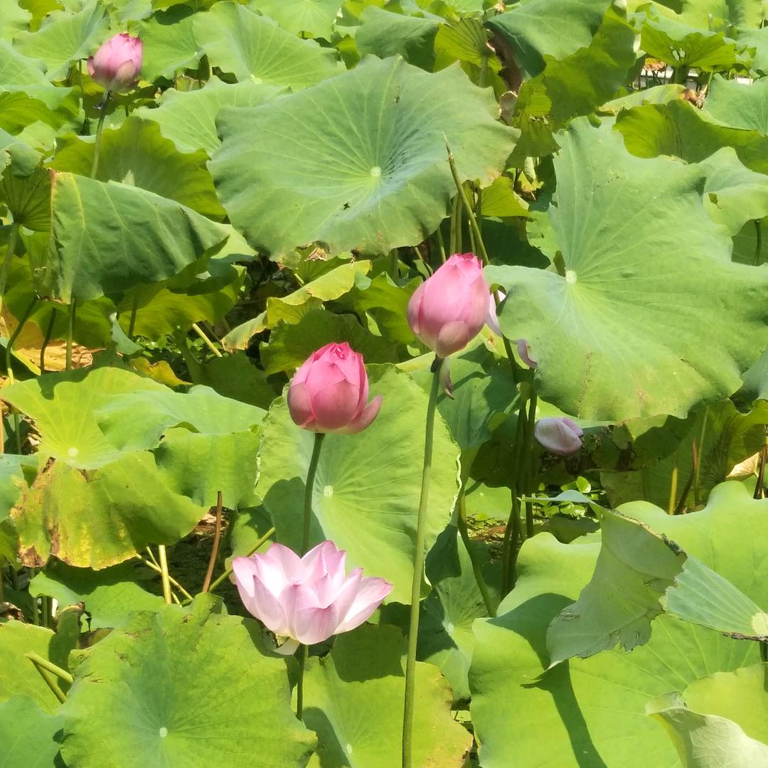 二姐ヾ(❀╹◡╹)ﾉﾞ❀~