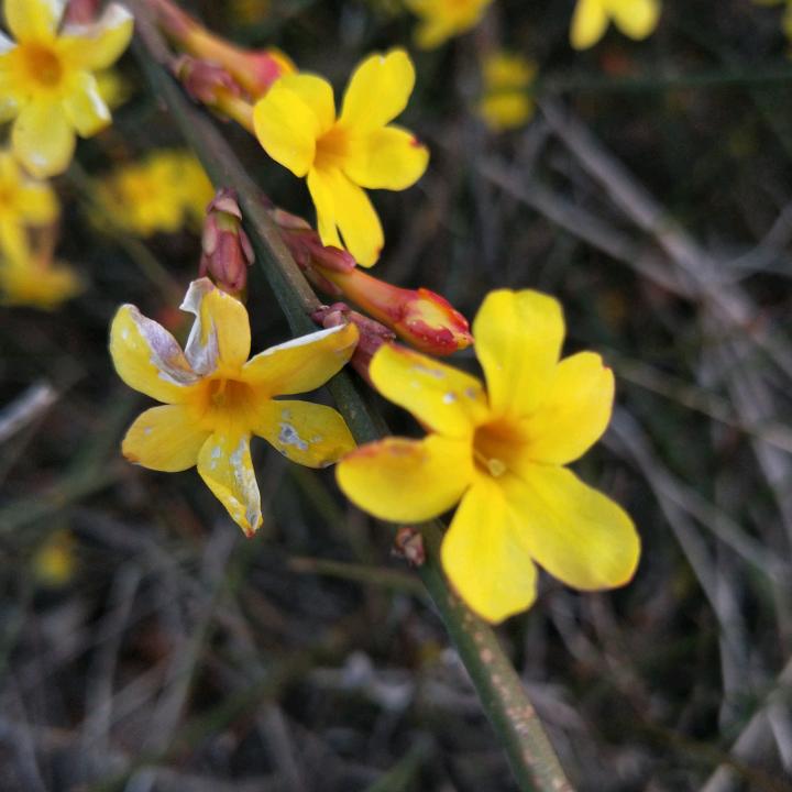 人生@怎么选都有遗憾！