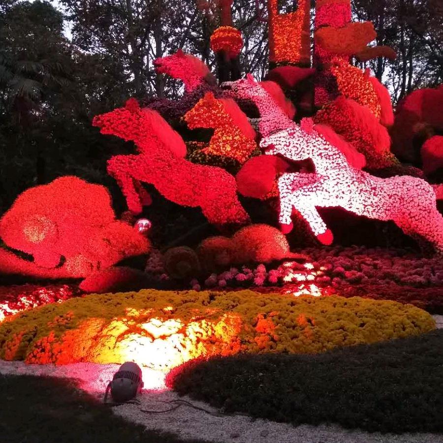 布丁奶奶