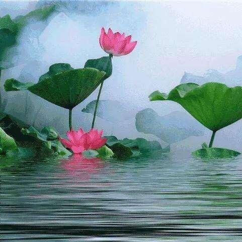悠兰