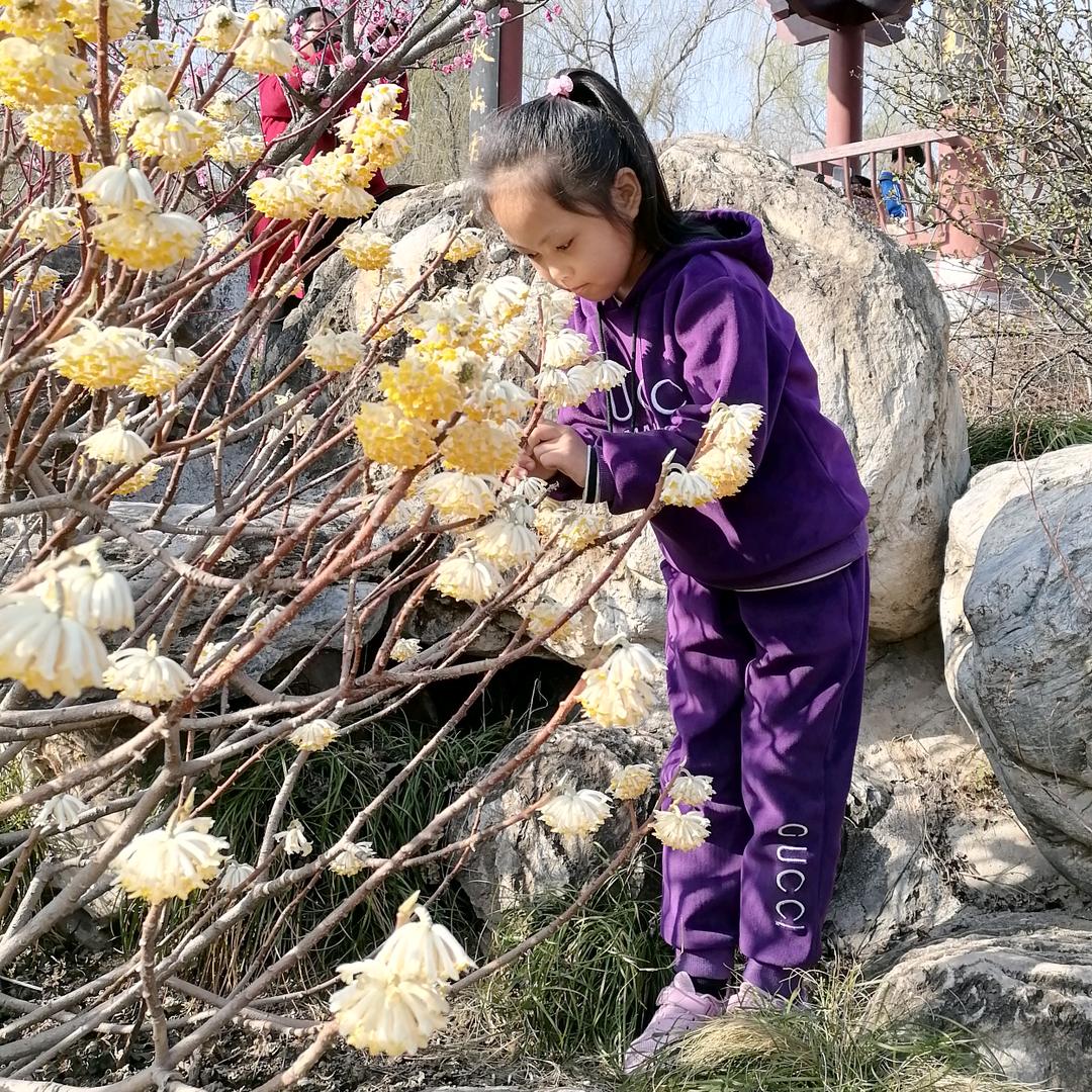 宝鸡市渭滨区雨涵蜜雪奶茶店