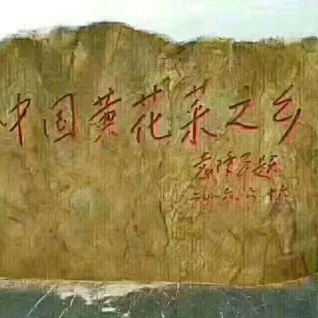 从零开始