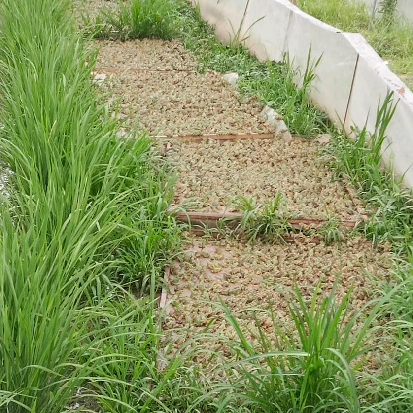 永州市（ 惠丰水产