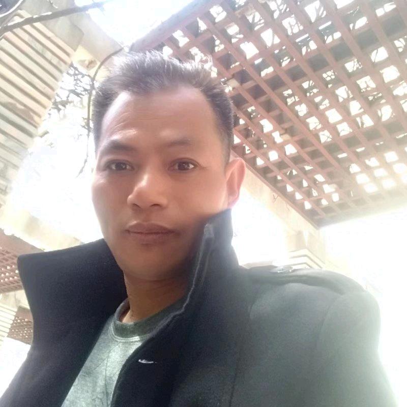 虎爱拼才会赢虎