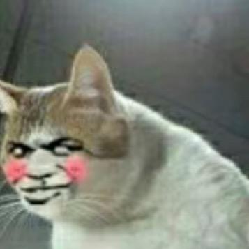 章鱼哥