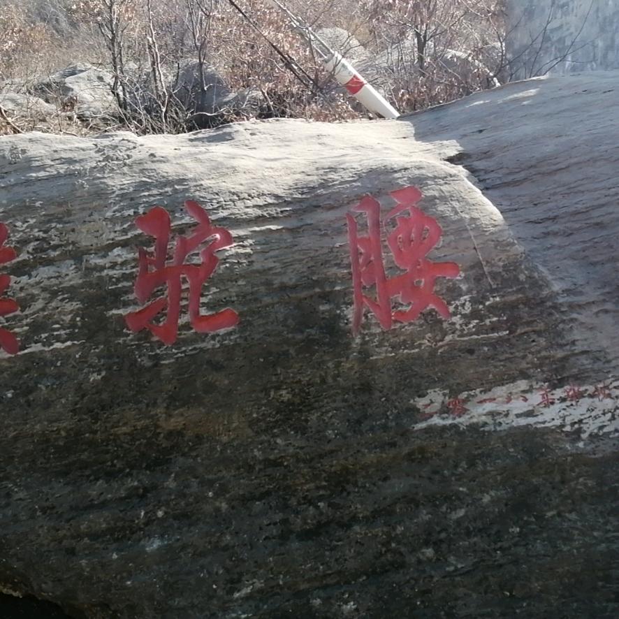 顺其自然