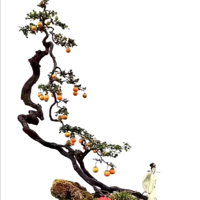 广州网约车。8242。