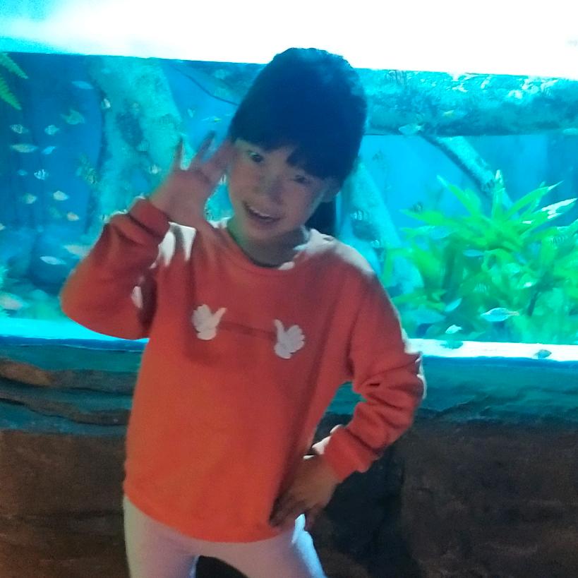 手机用户53137551363