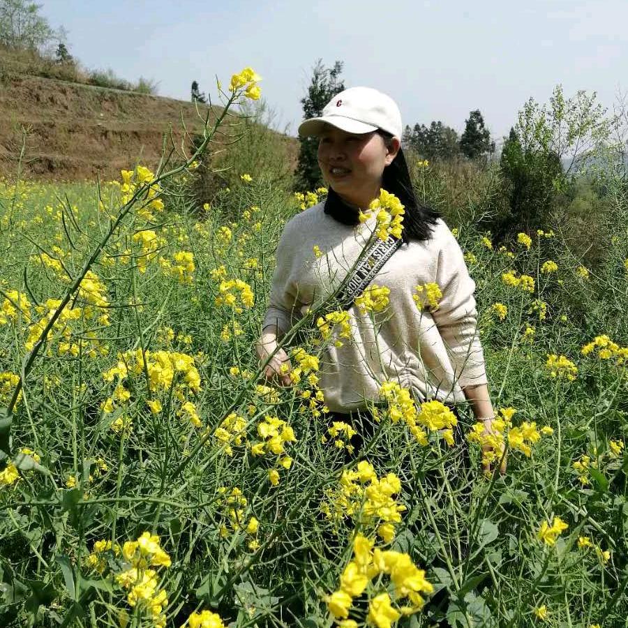 宏鑫检测站飞飞