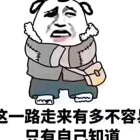 mei梅