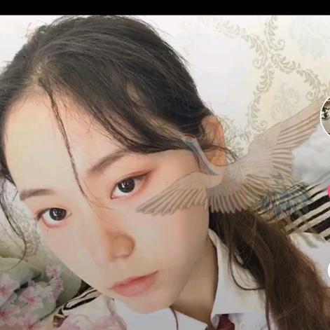《护娇阁》-熬败