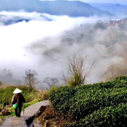 行千山万水，坐看云起