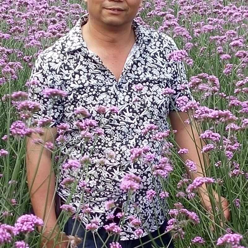 黄岩看戏老章