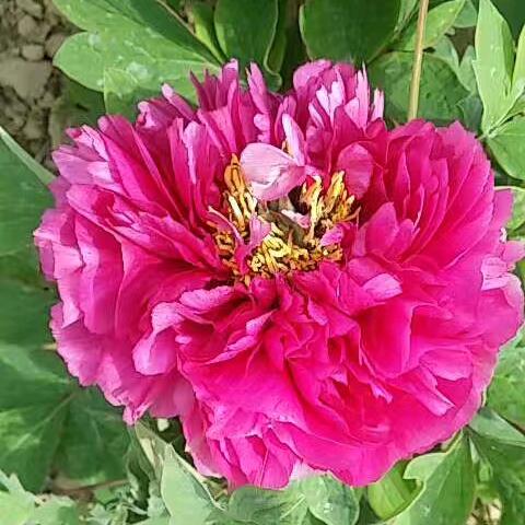 用户3889766694757