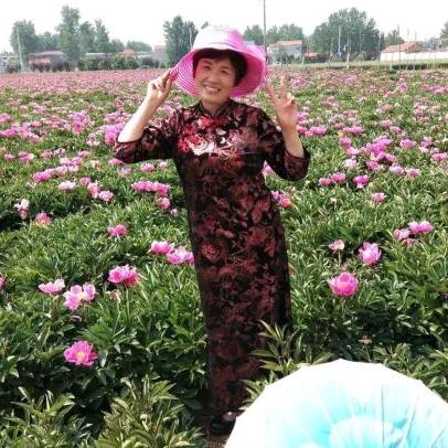 用户微笑就是我🙏