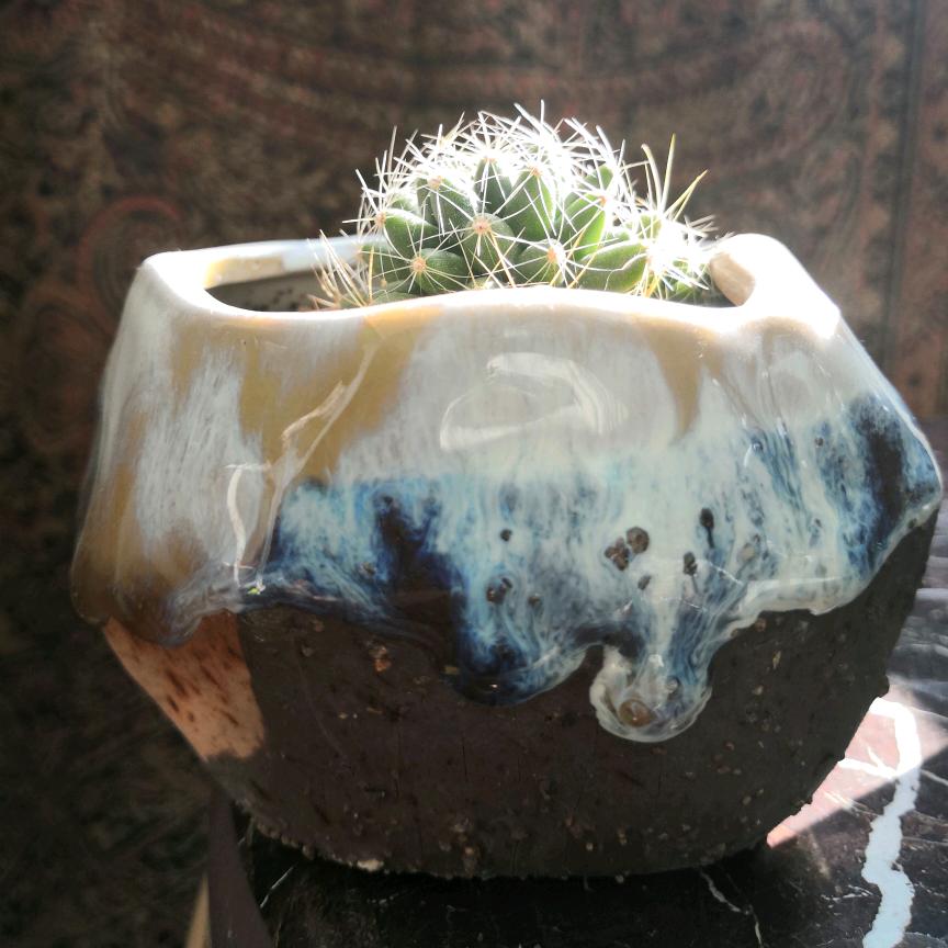 羊吃狼淡雅清新