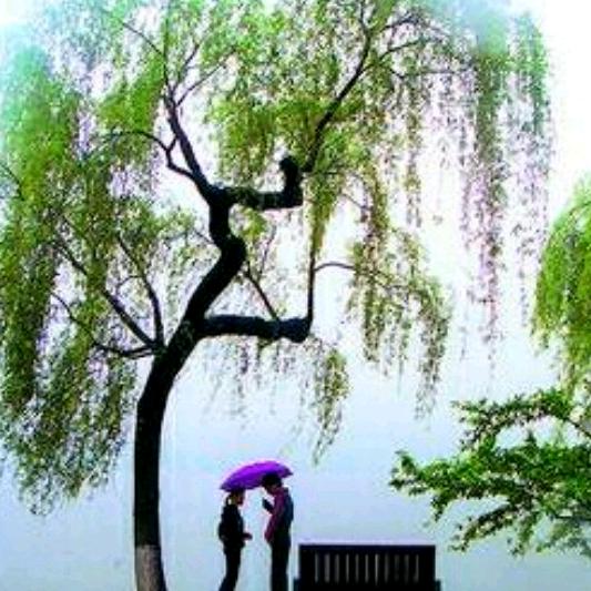 《洪》