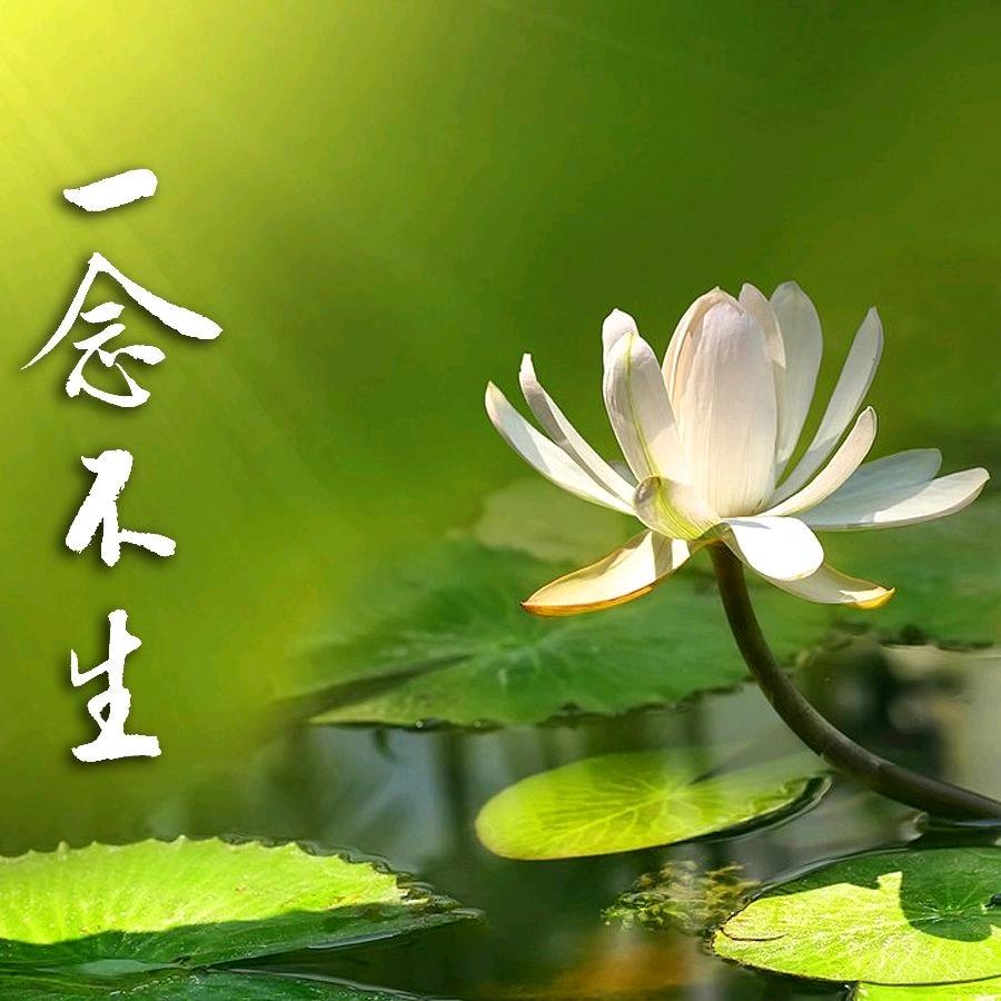 一念不生