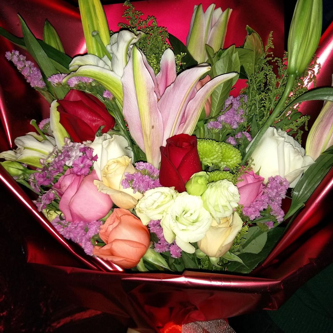 🌹情为何物🌹