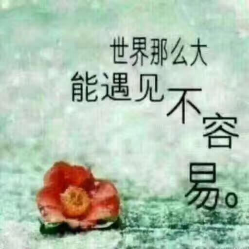 ……