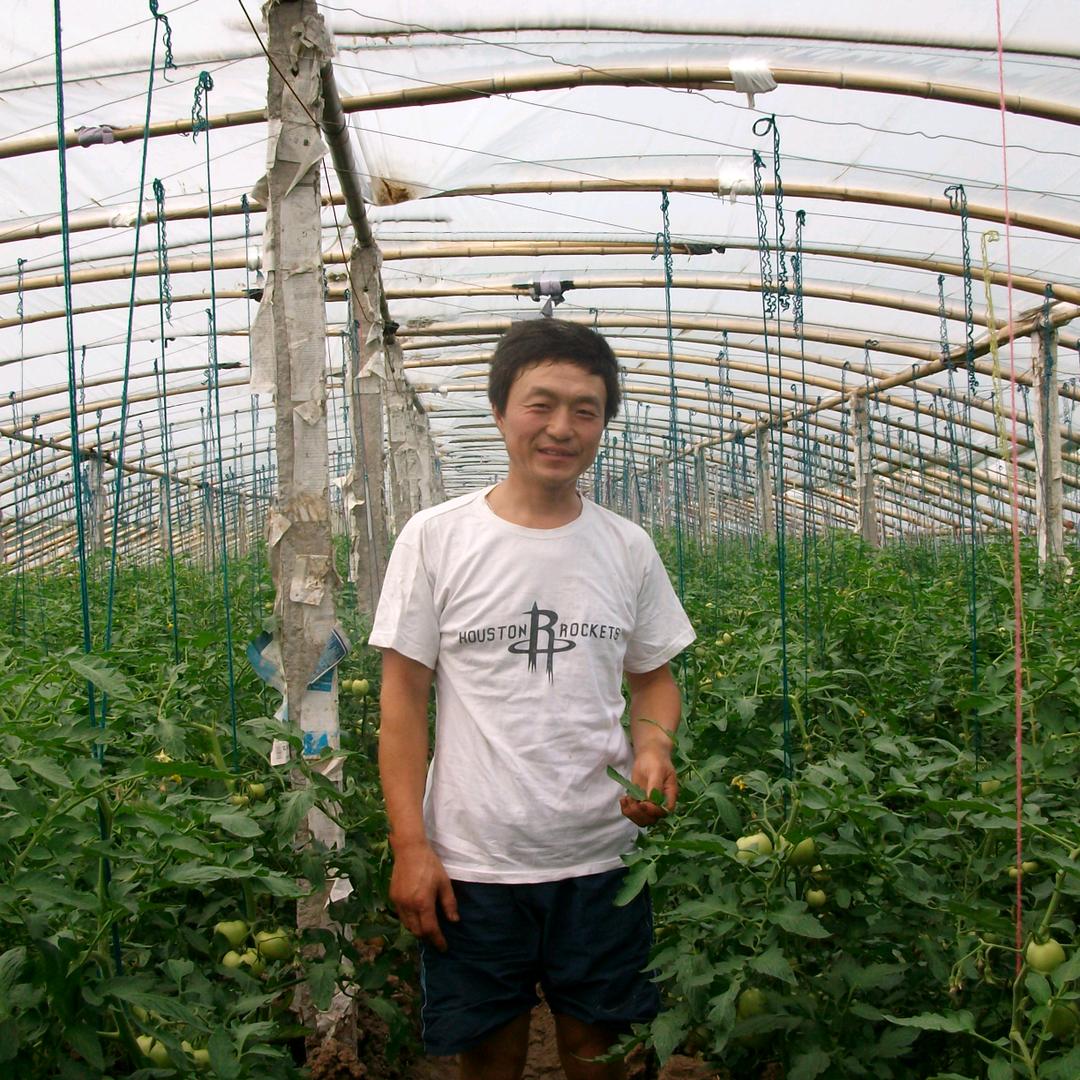 春风吹在冬天里275