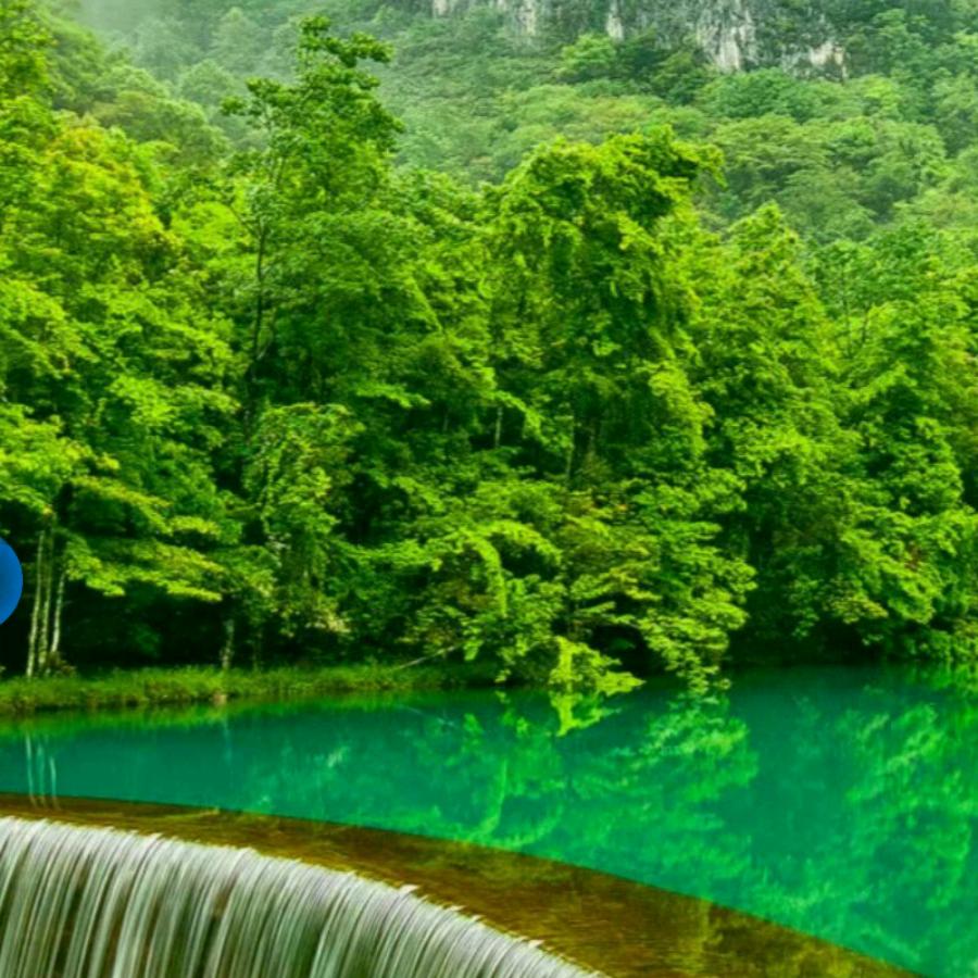 李霞