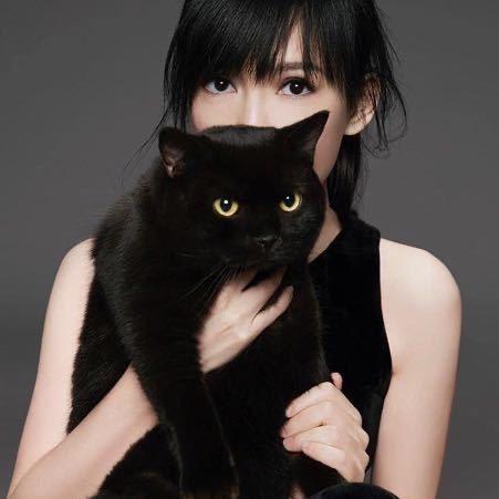 童年来探我